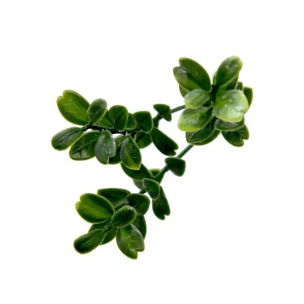 English Boxwood Artificial Hedge Panel