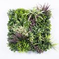 Thallo A Assorted Foliage Landscape Greenery Wall