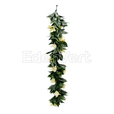 Biege Bougainvillea Vines for Boho Decor
