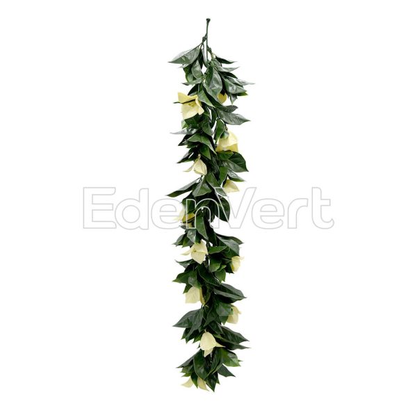 Biege Bougainvillea Vines for Boho Decor