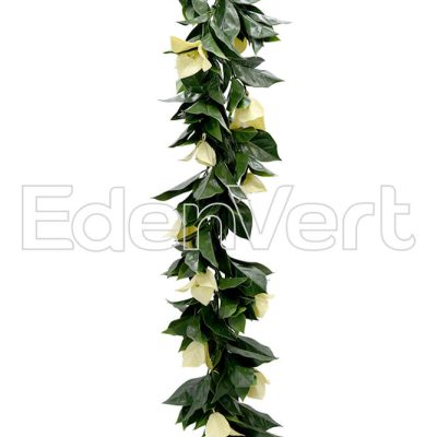 Biege Bougainvillea Vines for Boho Decor