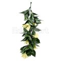 Biege Bougainvillea Vines for Boho Decor