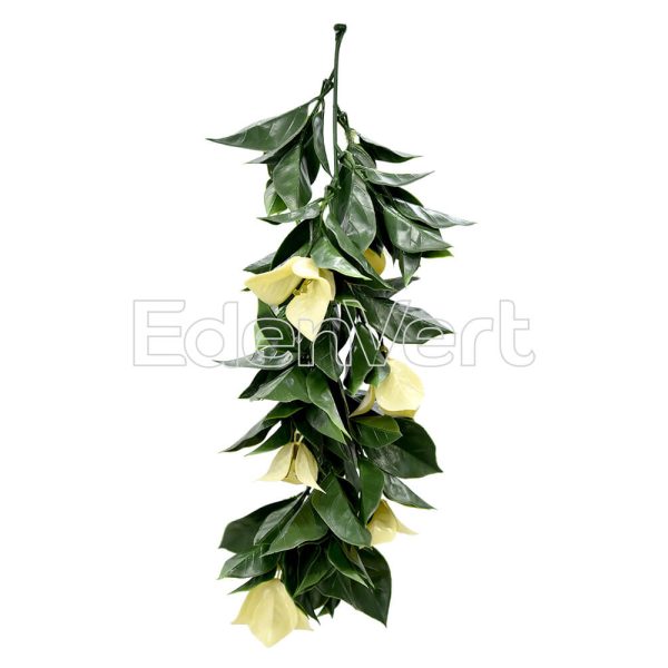 Biege Bougainvillea Vines for Boho Decor