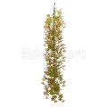 Artificial Gynostemma Pentaphyllum Vines