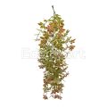 Artificial Gynostemma Pentaphyllum Vines
