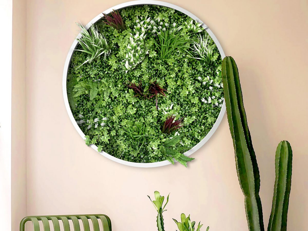 DIY Green Wall For Indoor EdenVert