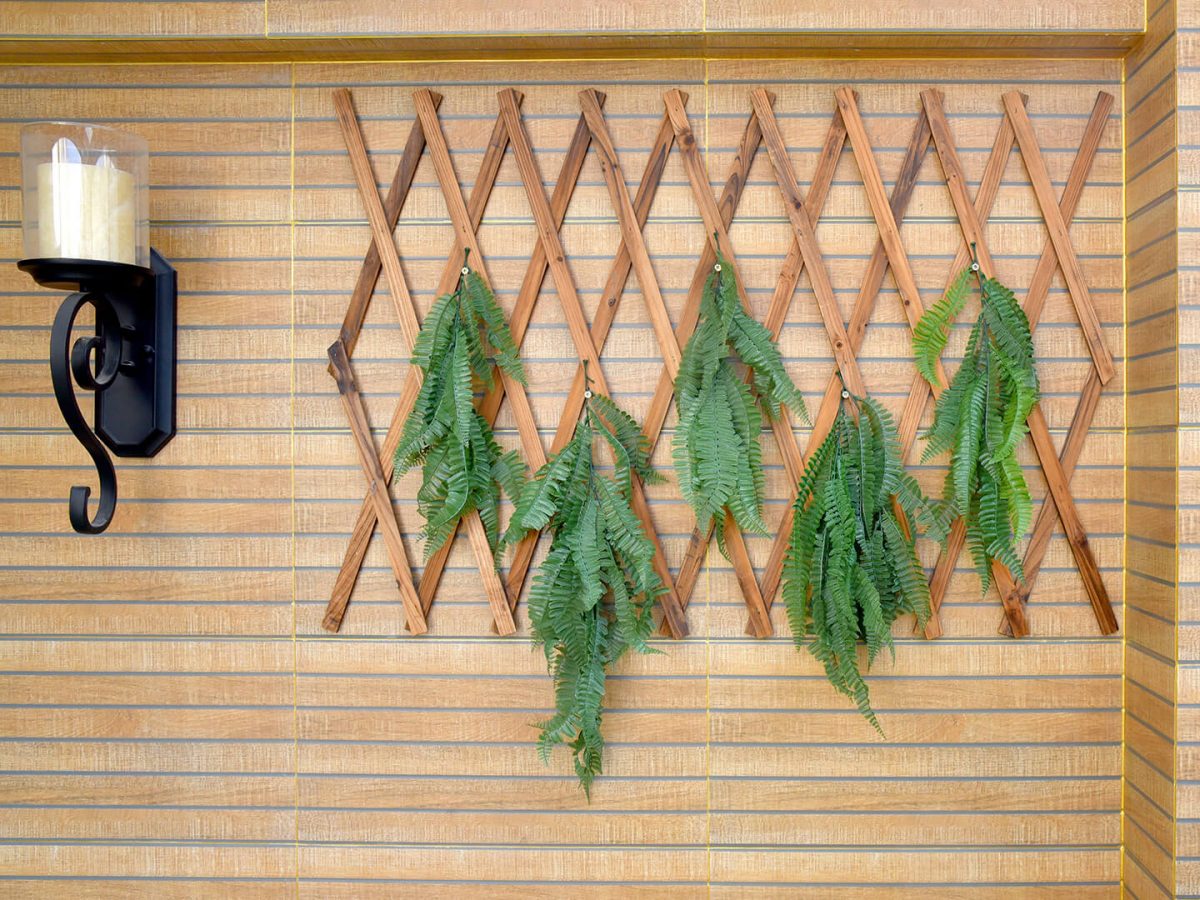 Enhance Your Space with Hanging Vines Decor EdenVert