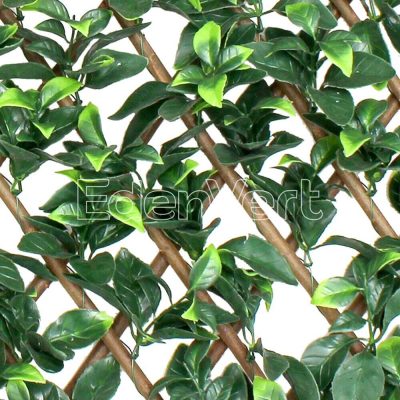 Dark Gardenia Leaves Willow Fence for Outdoor Garden