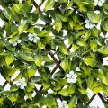 Sakura Willow Fence for Celebration/Wedding