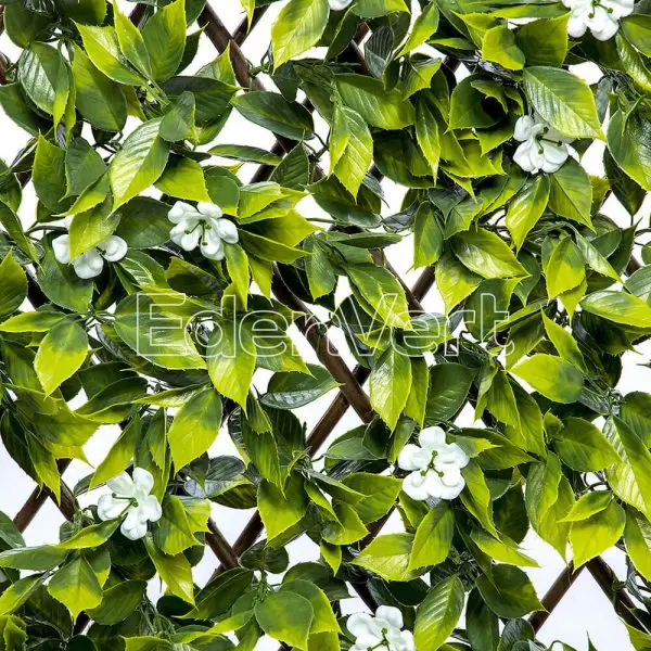 Sakura Willow Fence for Celebration/Wedding