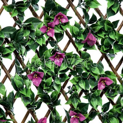 Bougainvillea Willow Fence with Red Flowers