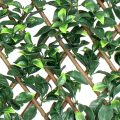 Dark Gardenia Leaves Willow Fence for Outdoor Garden