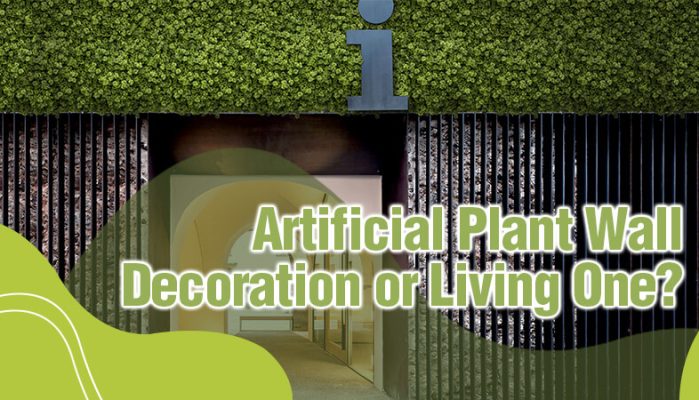 Artificial Plant Wall Decoration or Living One?