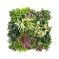 ThalloB Artificial Green Framed Wall Art