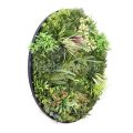 GaeaC Artificial Vertical Garden Discs
