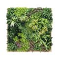 HeraB Framed Artificial Green Foliage Art