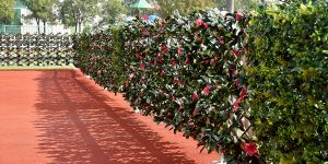 artificial hedge fence