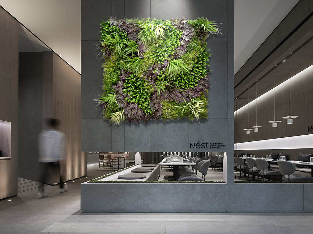 vertical garden decoration in restaurant