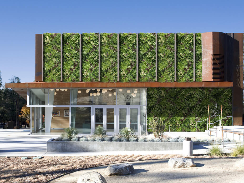 extraordinary vertical garden wall