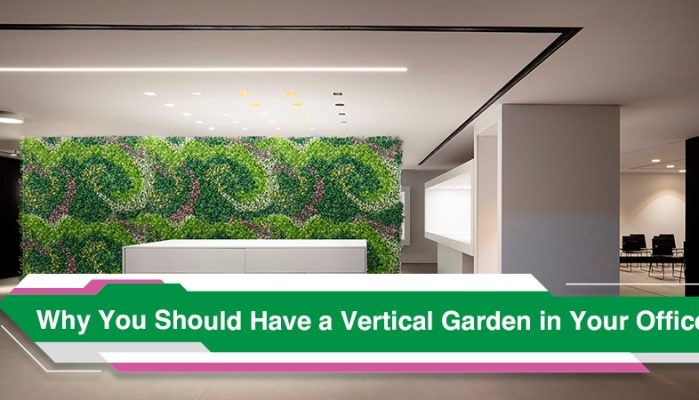 Why You Should Have a Vertical Garden in Your Office