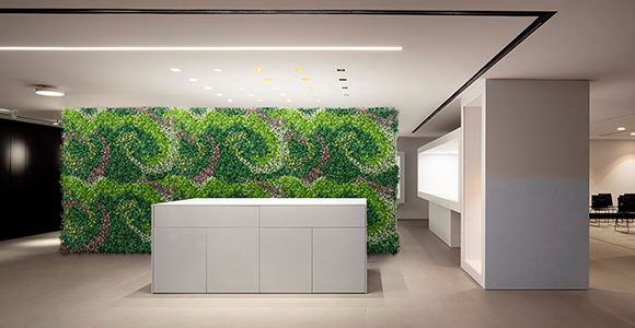 EdenVert Artificial Living Walls for Offices