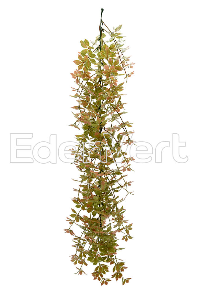 CCGT016, fake hanging plant EdenVert