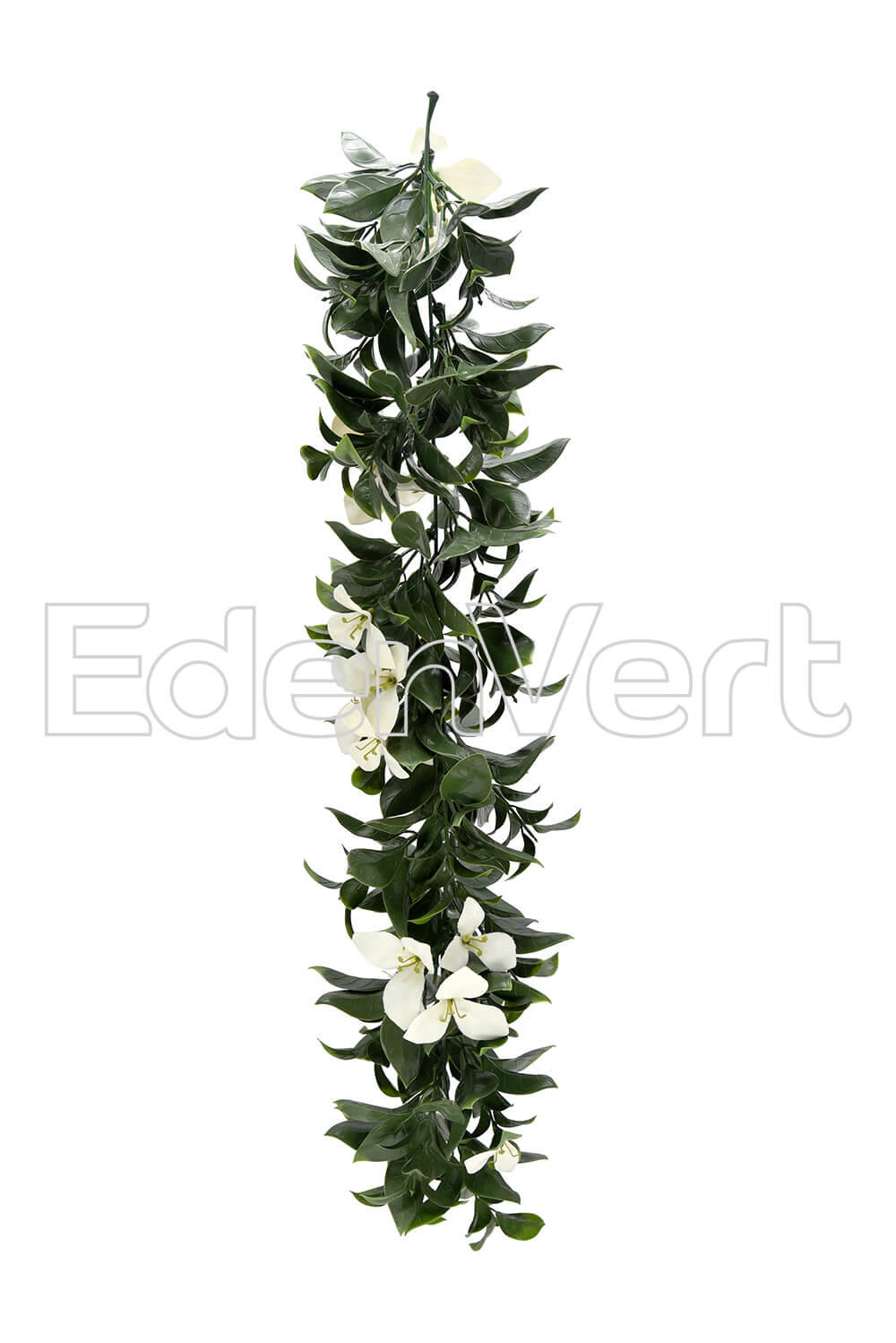 EdenVert CCGT020W, faux hanging plants