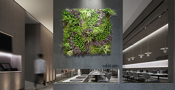 EdenVert Indoor Artificial Vertical Gardens