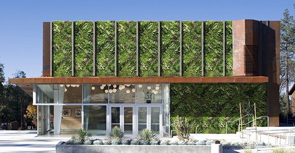 Large Artificial Plant Wall Projects