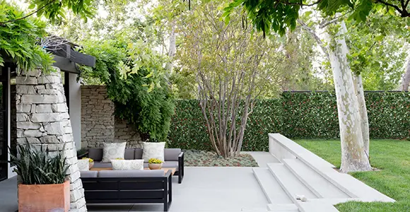 Stylish Transformation