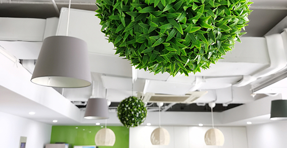 Artificial Topiary for Office