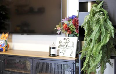 Artificial Vines for the Living Area
