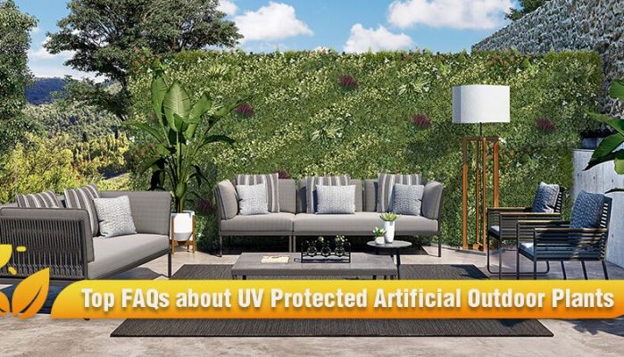 Top FAQs about UV Protected Artificial Outdoor Plants