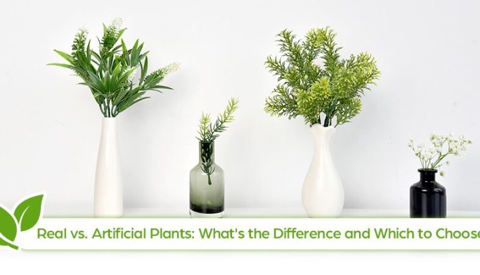 Real vs Artificial Plants: What’s the Difference and Which to Choose?