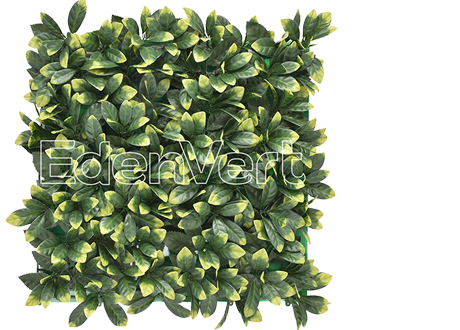 Everything You Need to Know about Artificial Hedging 4 CCGA034U Artificial Laurel Panel