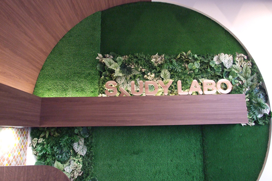 22. Artificial Grass Wall Decoration Ideas to Enhance Your Brand