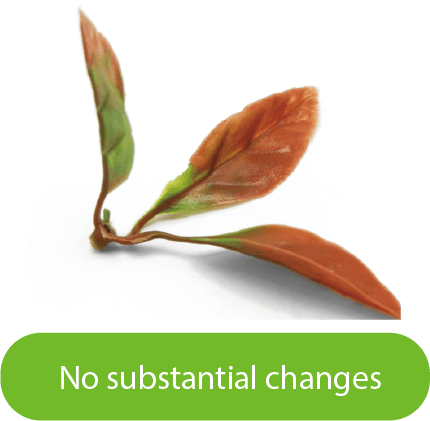 How to Install Artificial Green Wall / Hedge Panels? 15 Anti-UV-1