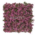 Artificial Purple Pachysandra Hedge Panel
