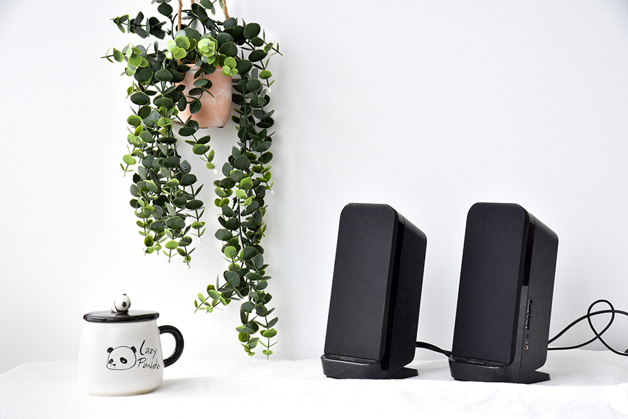 Are Fake Plants Really Tacky? EdenVert