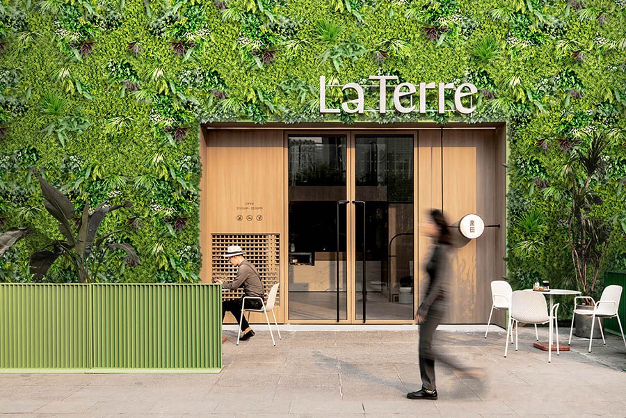 11 Artificial Plant Decorating Mistakes (and How to Fix Them) 6 artificial green wall