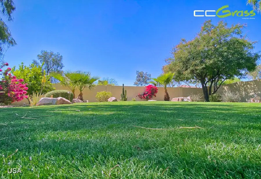 artificial grass