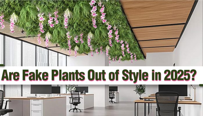 Are Fake Plants Out of Style in 2025?