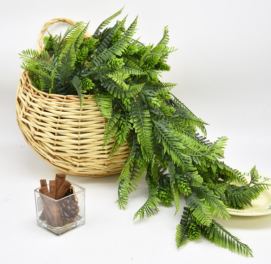 trailing greenery