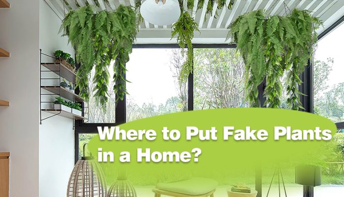 Where to Put Fake Plants in a Home?
