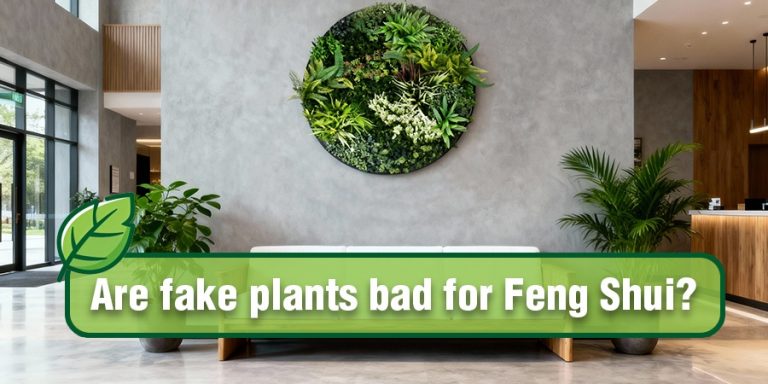 Are fake plants bad for Feng Shui? - EdenVert