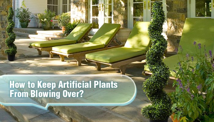 How to Keep Artificial Plants From Blowing Over?