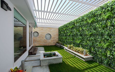 Backyard Green Wall Privacy Screening in Austin, USA