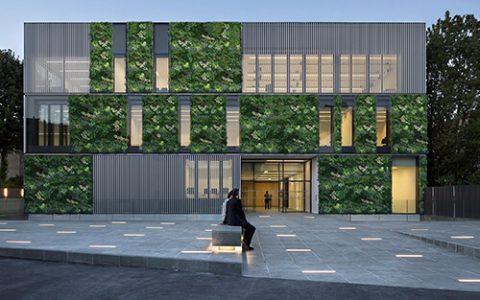 Exterior Building Facade Greenery Wall