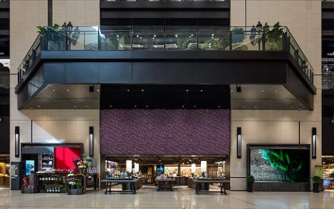 Internal Artificial Plant Wall