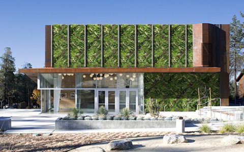 Luxury Hotel Vertical Garden Wall